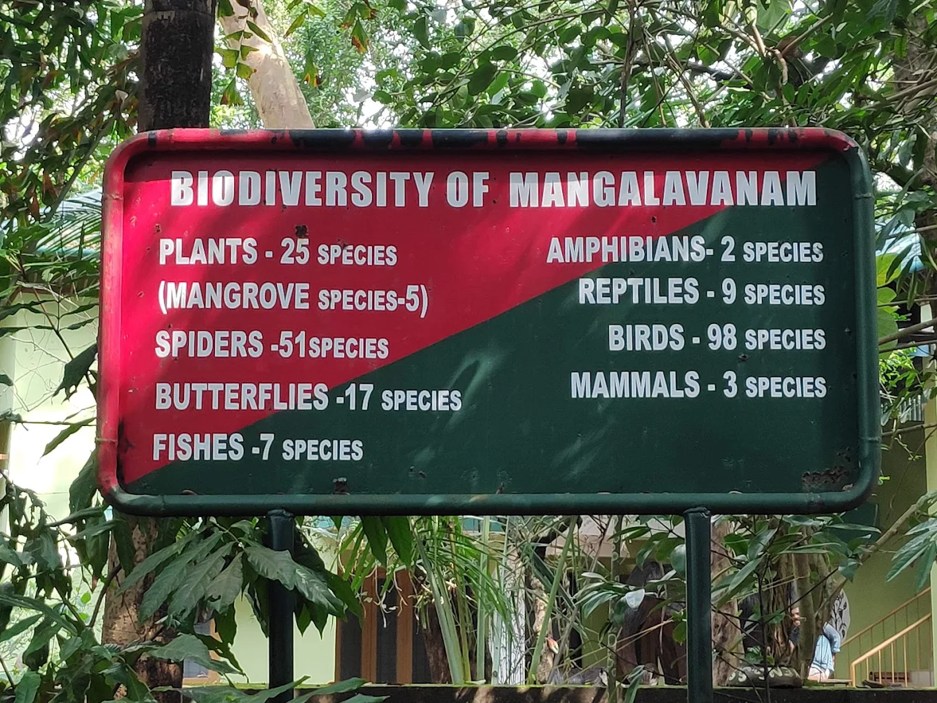 Mangalavanam Bird Sanctuary